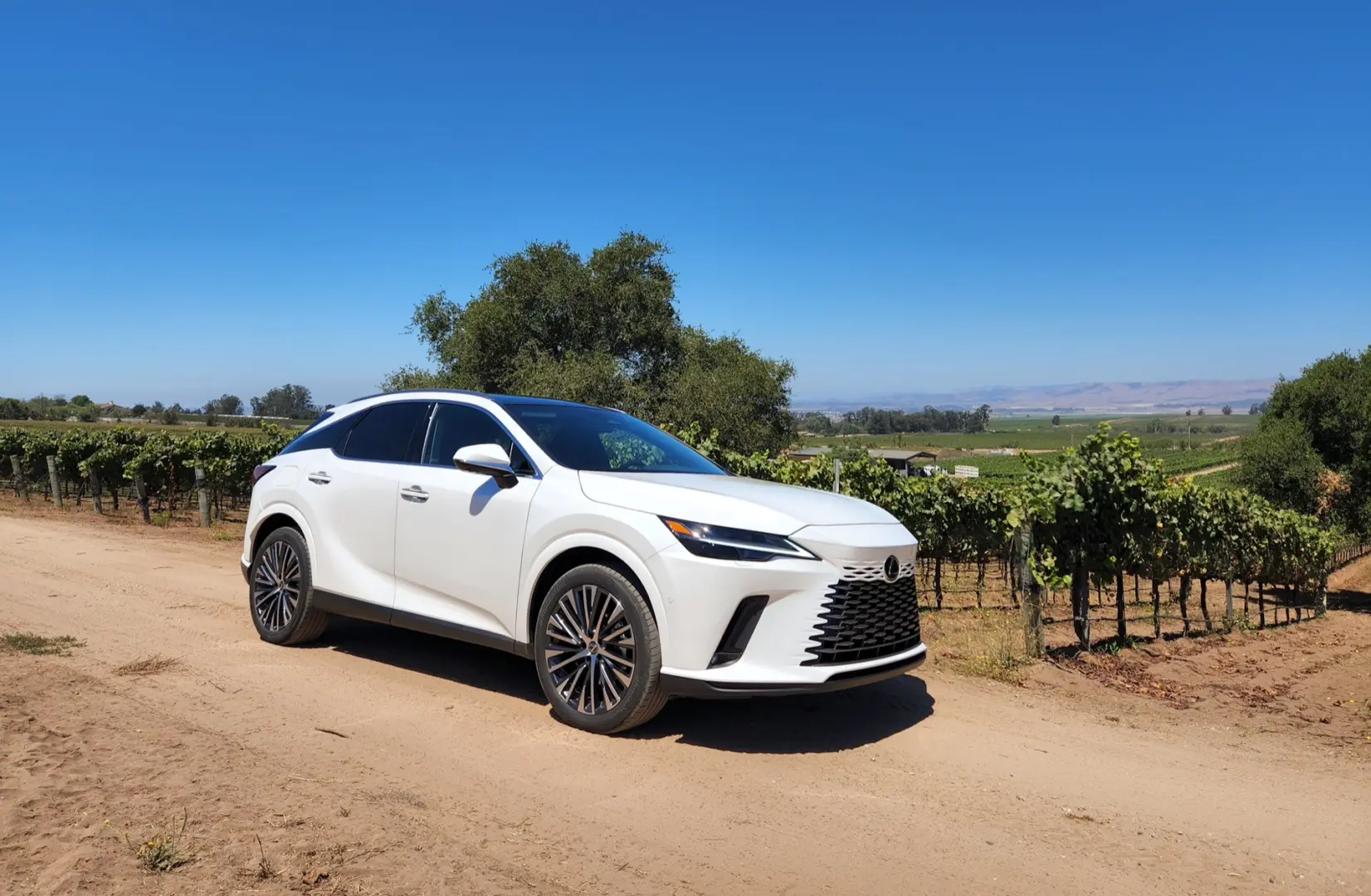 Lexus RX RX 450h+ Exclusive AWD 6