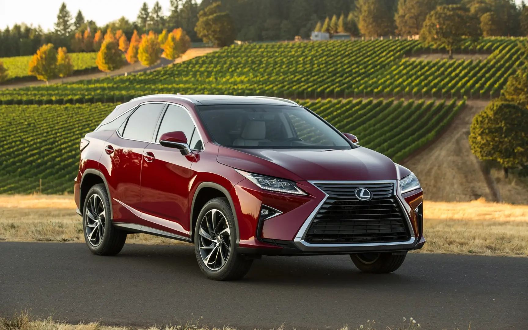 Lexus RX RX 300 4x4 Executive 0