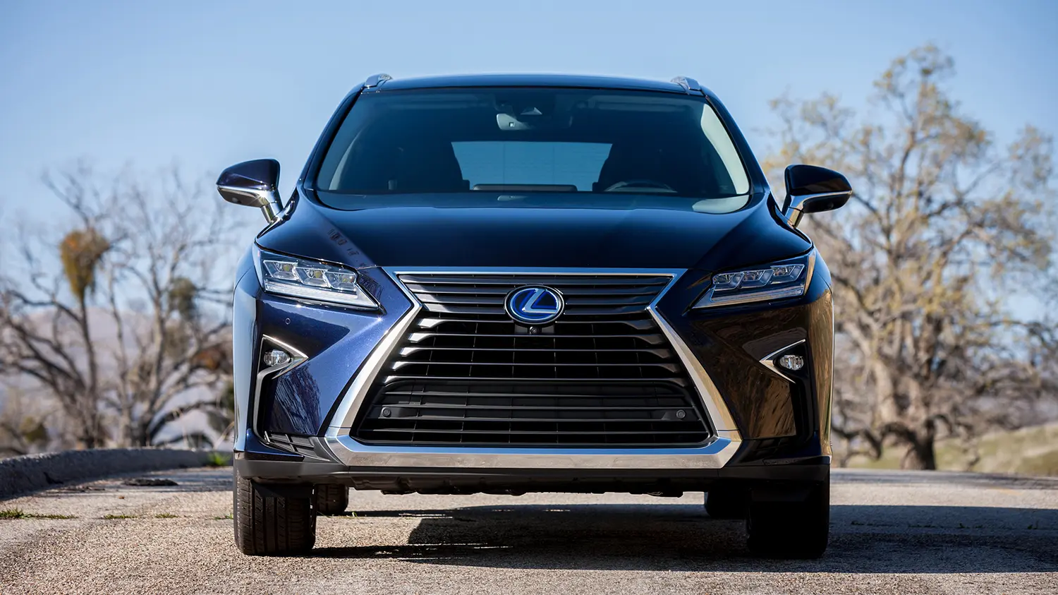 Lexus RX RX 450h Long 4x4 Exclusive e-CVT 4