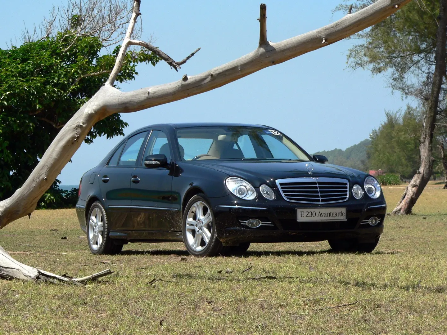 Mercedes-Benz  E 230 Avantgarde 6