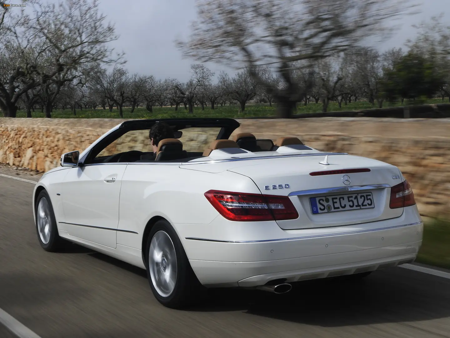 Mercedes-Benz  E 250 CGI BlueEFFICIENCY Avantgarde 5