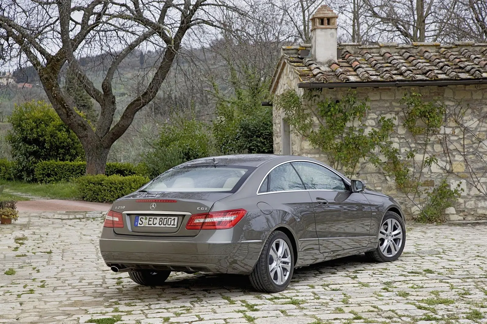 Mercedes-Benz  E 250 CGI BlueEFFICIENCY Dynamic 6