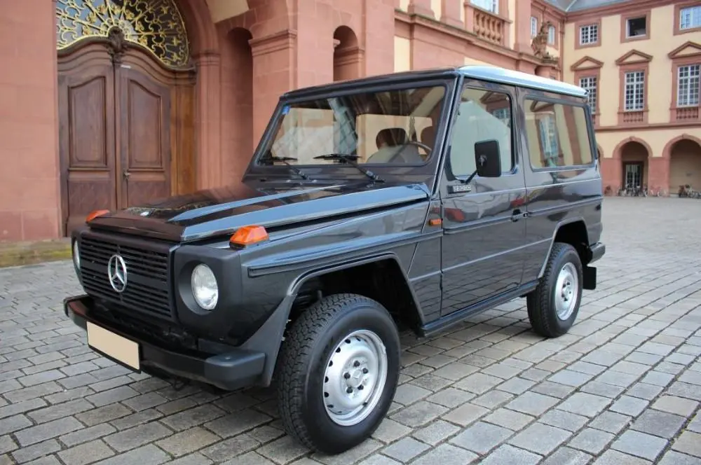 Mercedes-Benz  G 290 GD 2