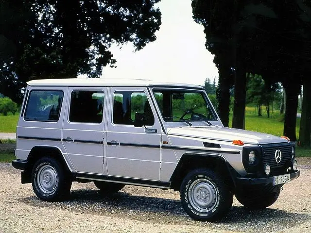 Mercedes-Benz  G 290 GDT 1