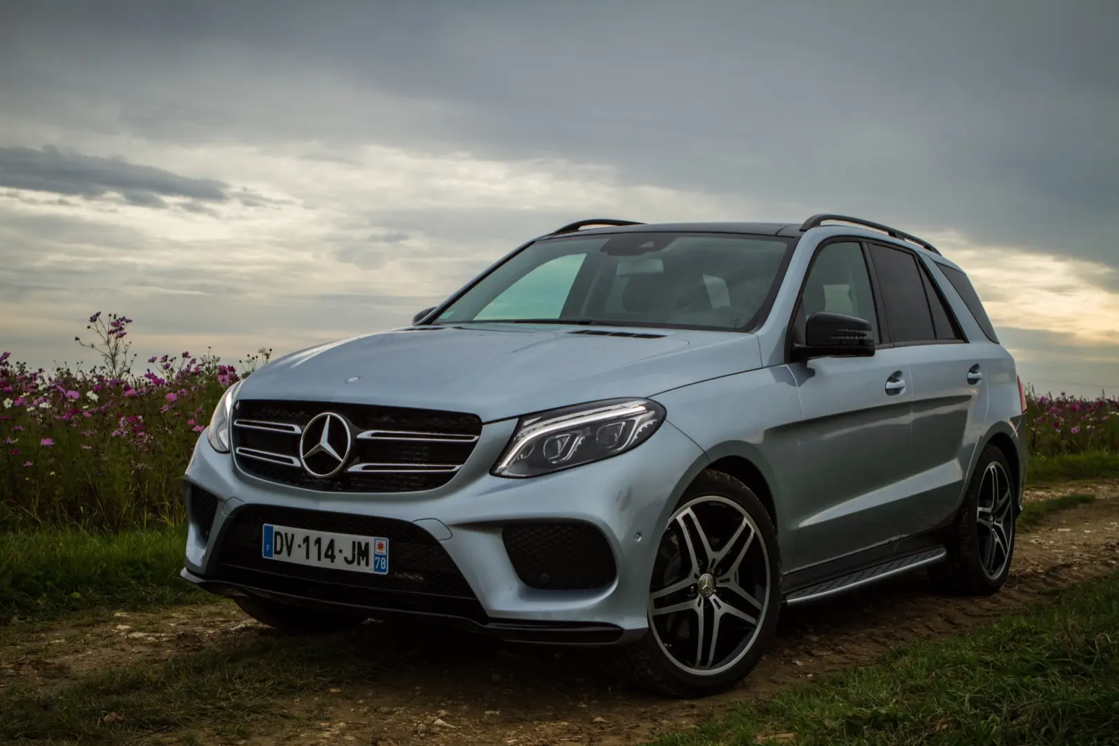 Mercedes-Benz GLE GLE 350 D 4Matic Style 9G-Tronic 3