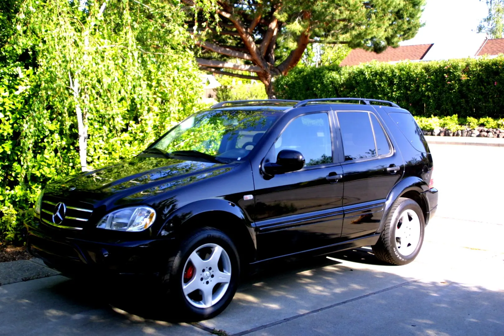 Mercedes-Benz ML ML 55 AMG 5