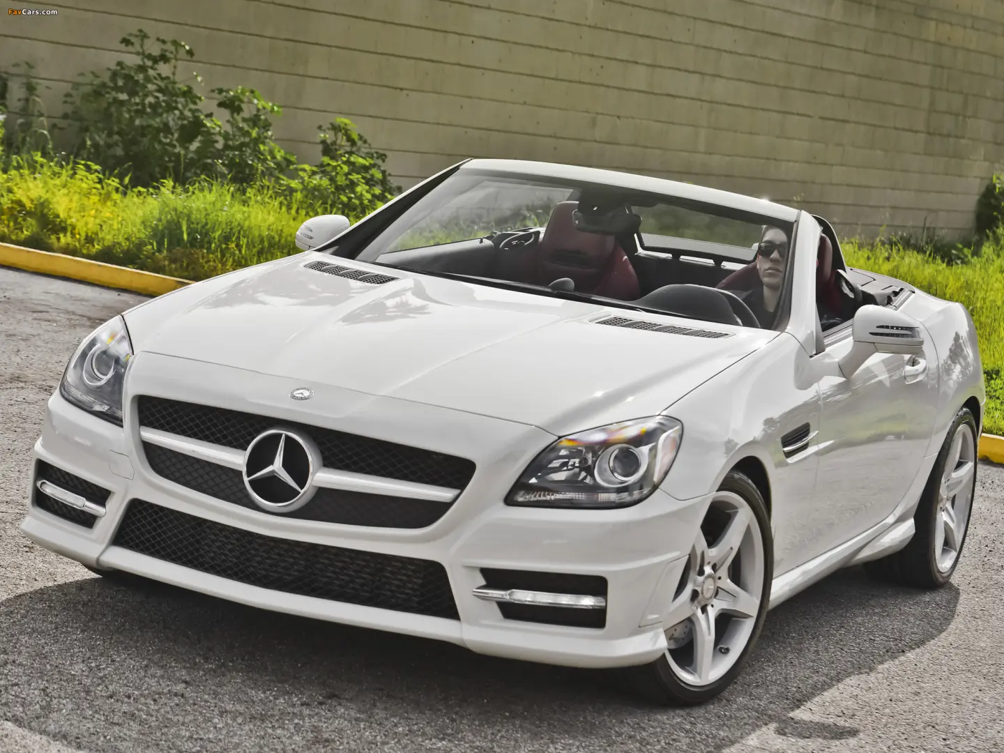 Mercedes-Benz SLK SLK 250 1