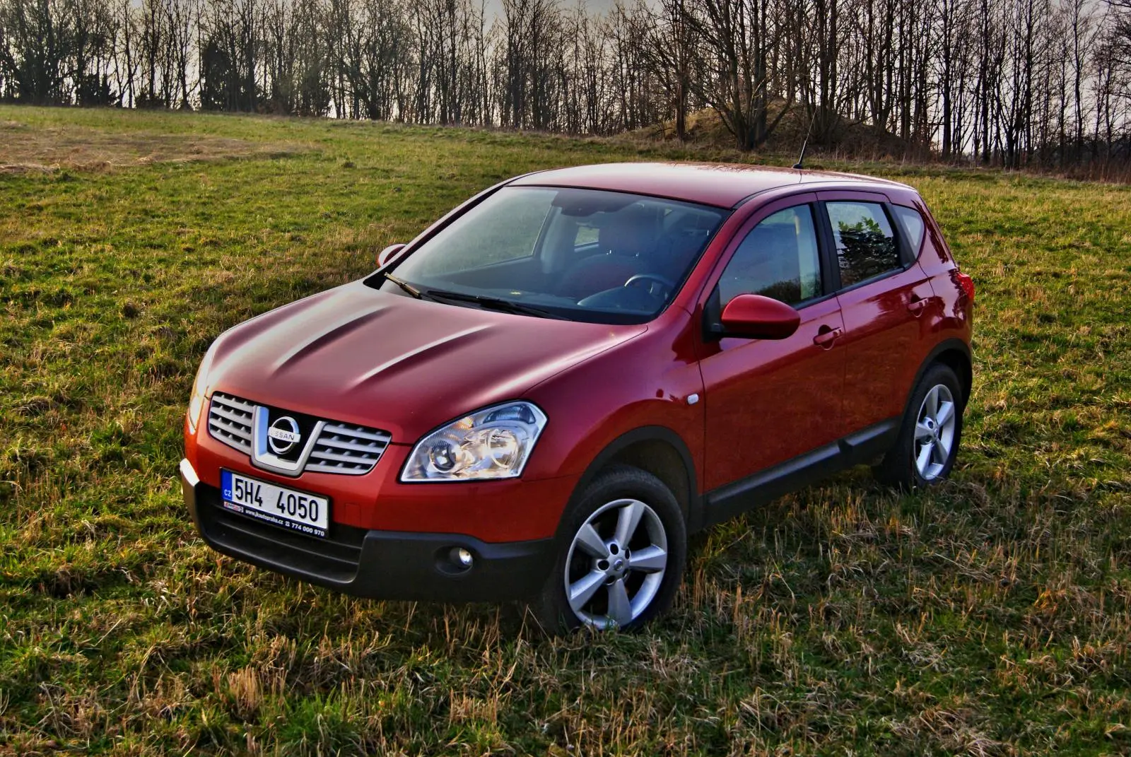 Nissan Qashqai Qashqai 1.6 4x2 Platinum 7