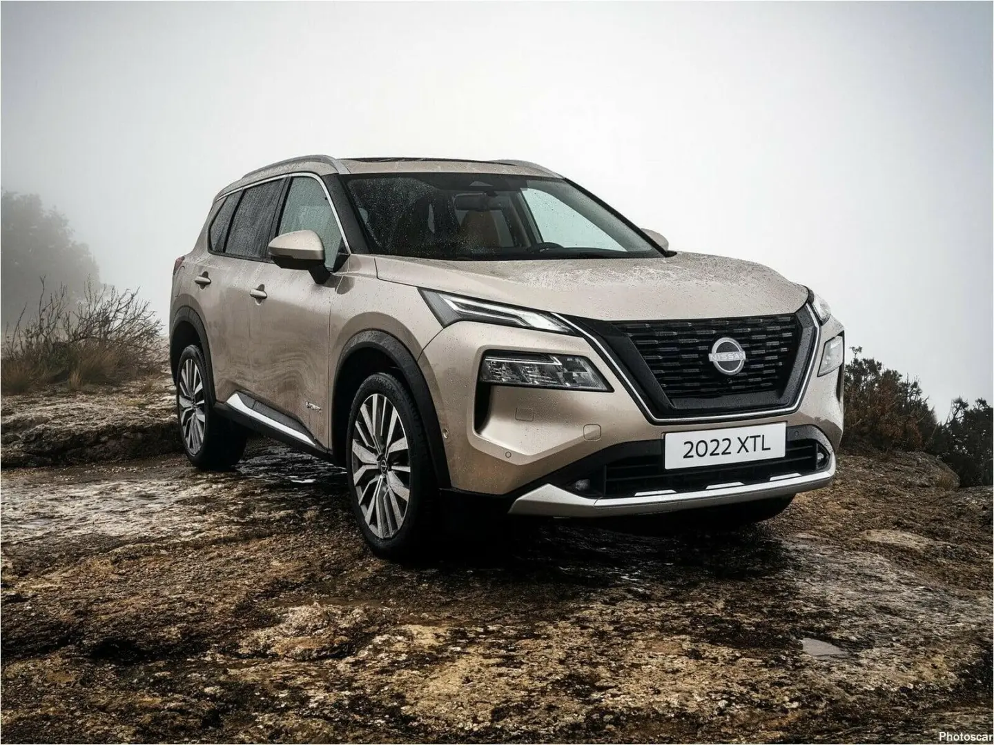 Nissan X-Trail X-Trail E-4ORCE PLATINUM PREMIUM 4X4 2