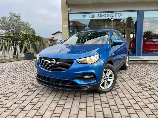 Opel Grandland X Grandland X 1.5 D EcoTEC Start&Stop Excellence 5