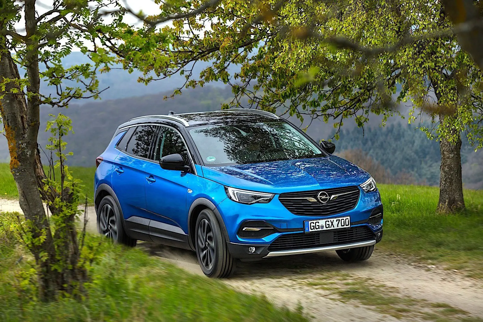 Opel Grandland X Grandland X 1.6 D EcoTEC Enjoy 5