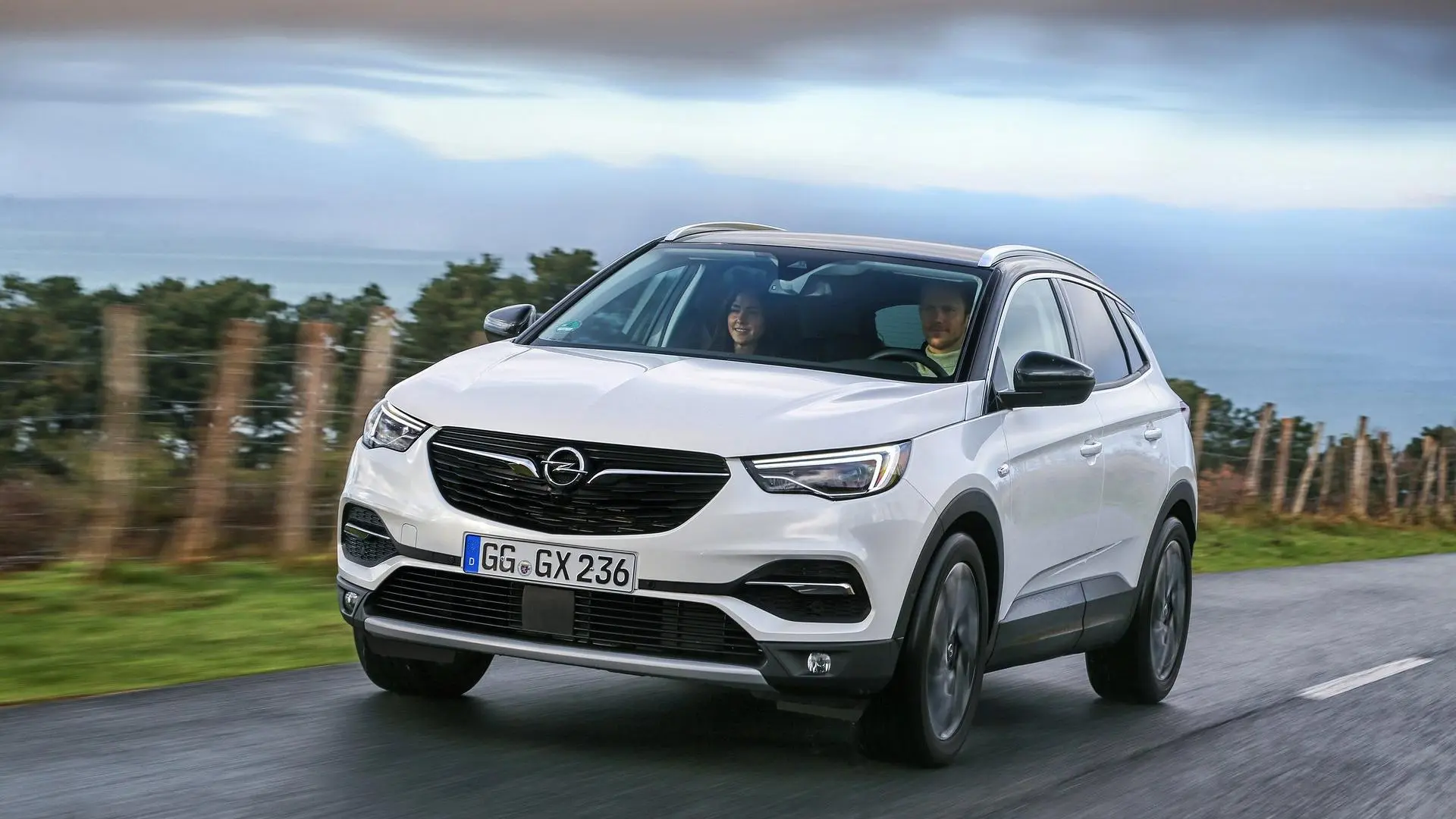 Opel Grandland X Grandland X 1.6 D EcoTEC Ultimate 3