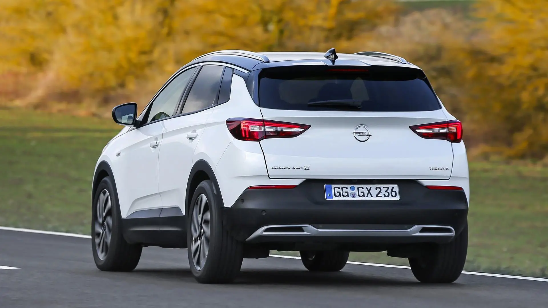 Opel Grandland X Grandland X 1.6 D EcoTEC Ultimate 5