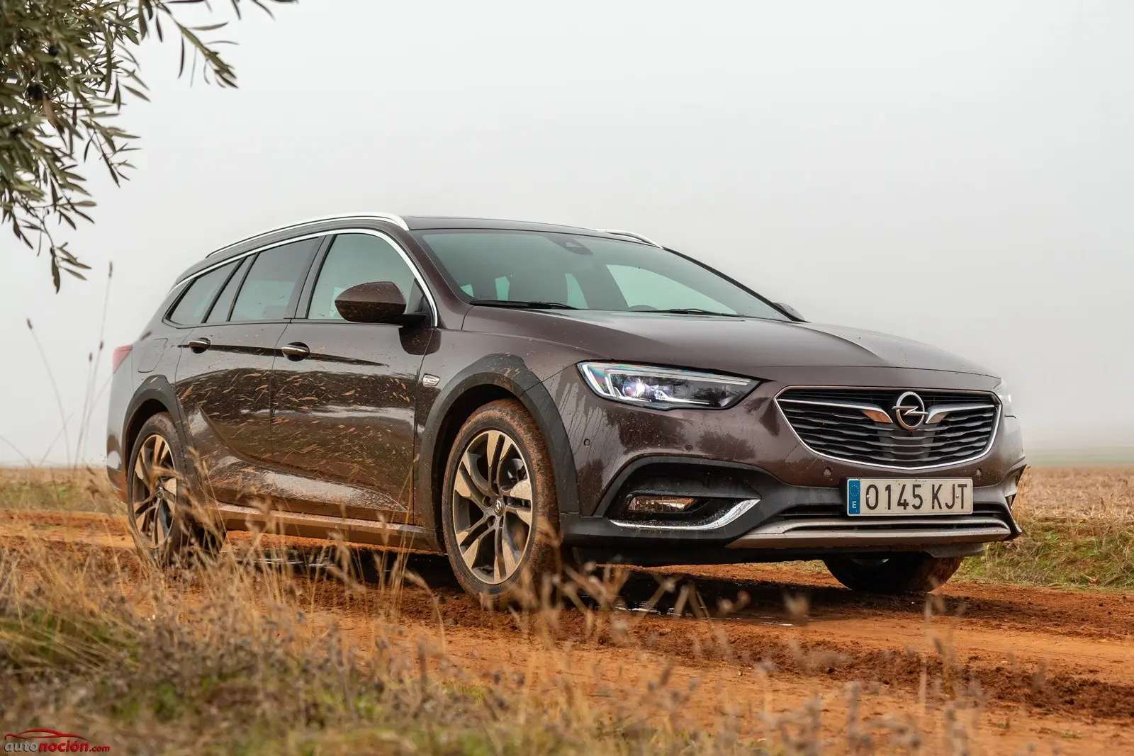 Opel Insignia Insignia Country Tourer 2.0 BiTurbo Start&Stop 4x4 Exclusive 6