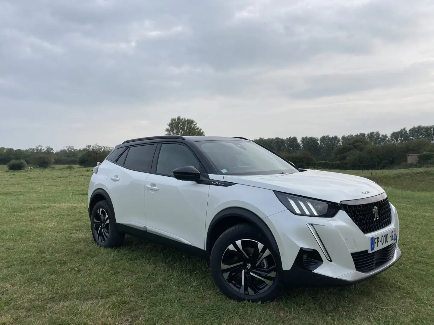 Peugeot 2008 2008 1.2 PureTech Access 5