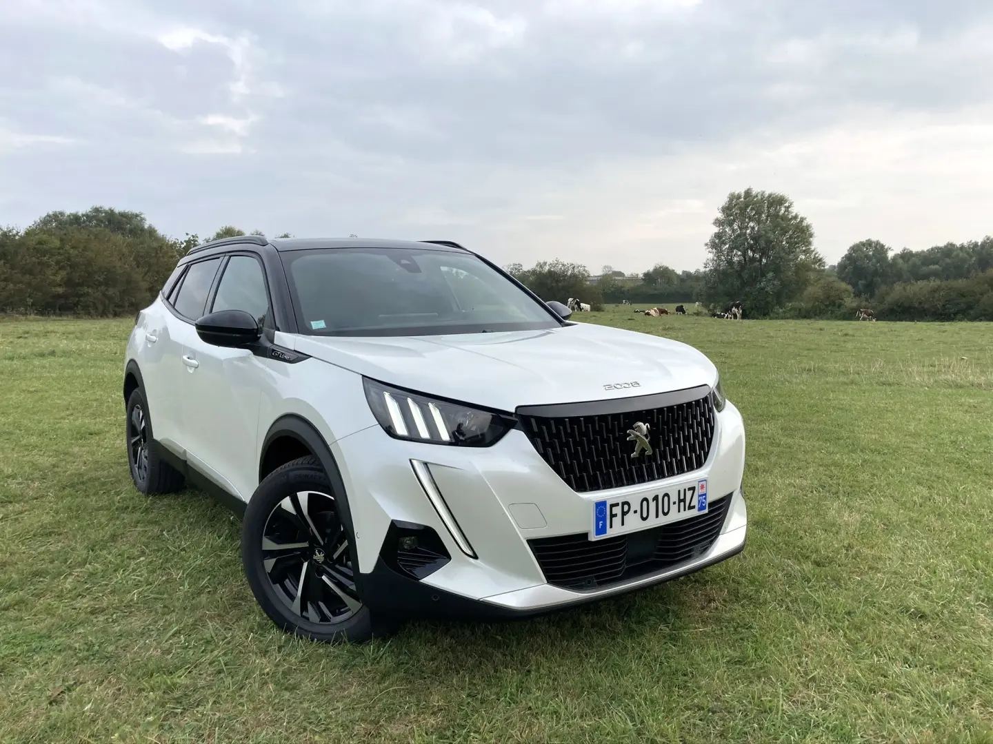 Peugeot 2008 2008 1.2 PureTech Active SkyPack EAT8 2