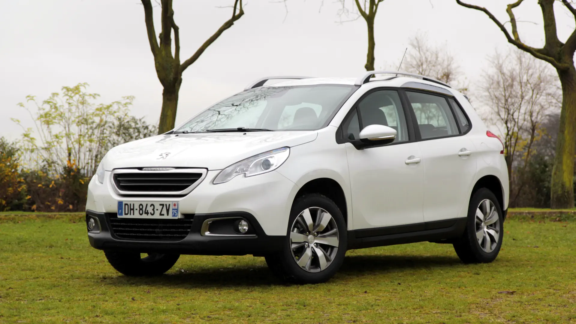 Peugeot 2008 2008 1.2 PureTech Start&Stop Access ETG5 5