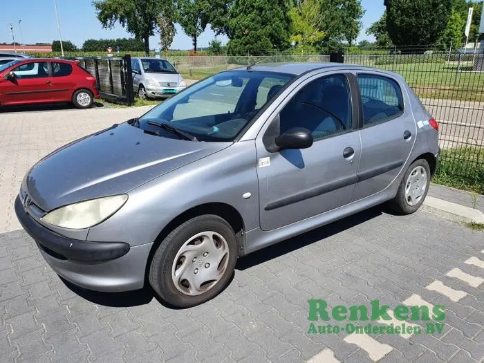 Peugeot 206 206 1.4 Color Line 3