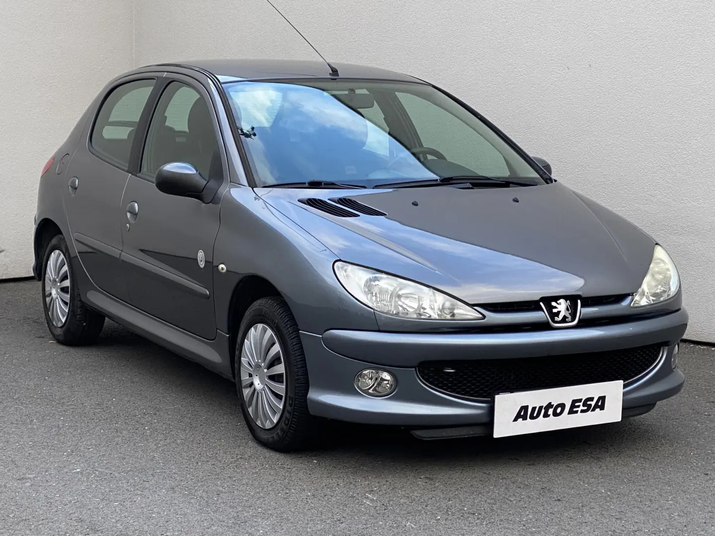Peugeot 206 206+ 1.4 Envy 5