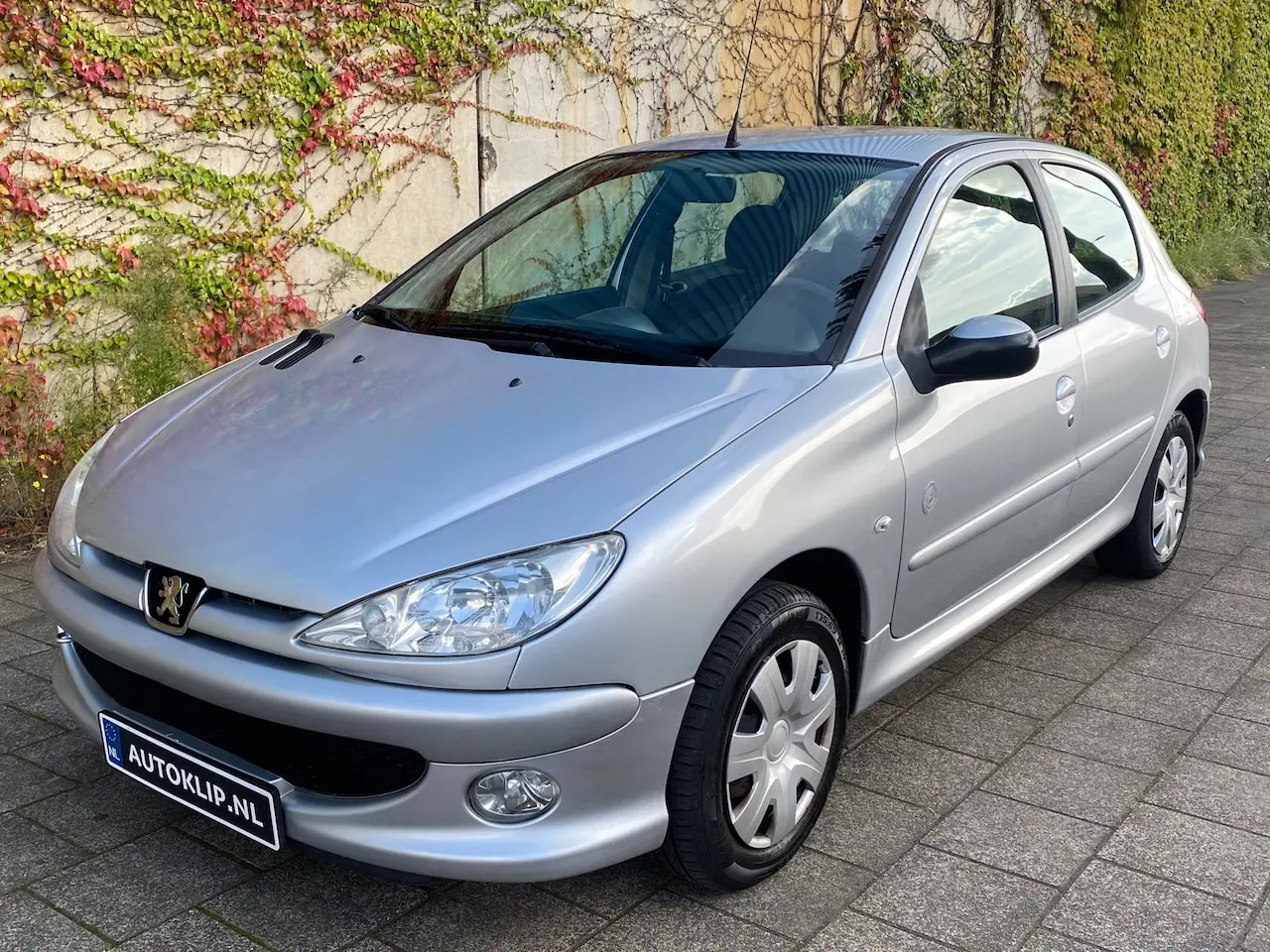 Peugeot 206 206 1.4 Generation 7