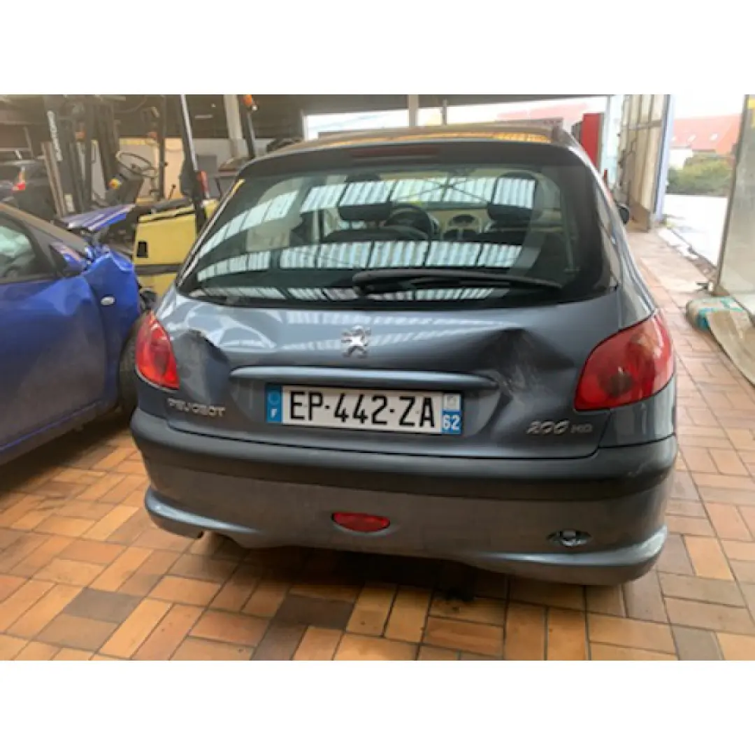 Peugeot 206 206 1.4 HDI Panoramic 6