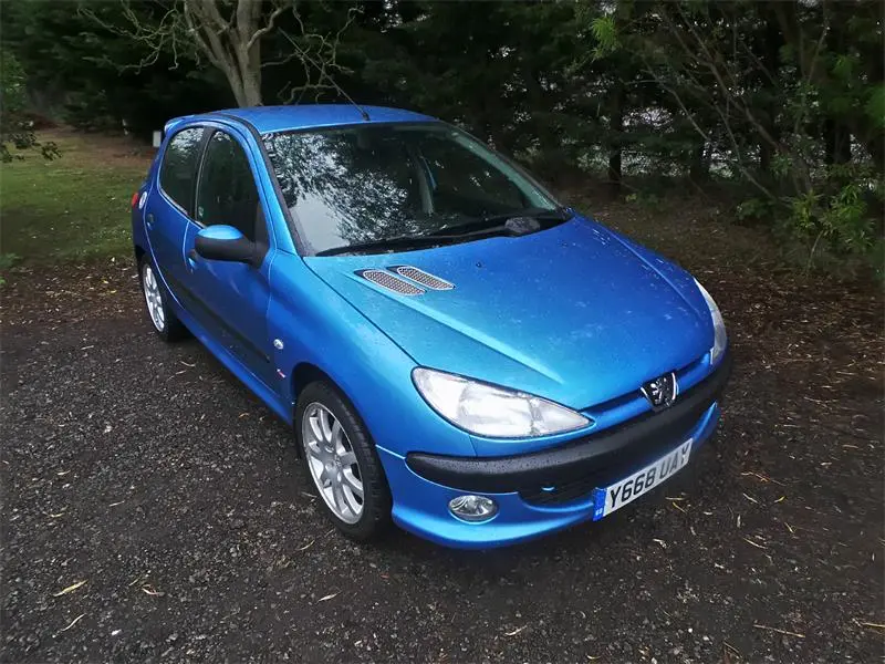 Peugeot 206 206 1.4 Panoramic 3