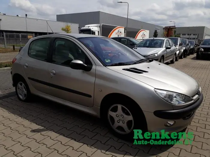 Peugeot 206 206 1.4 Panoramic 5