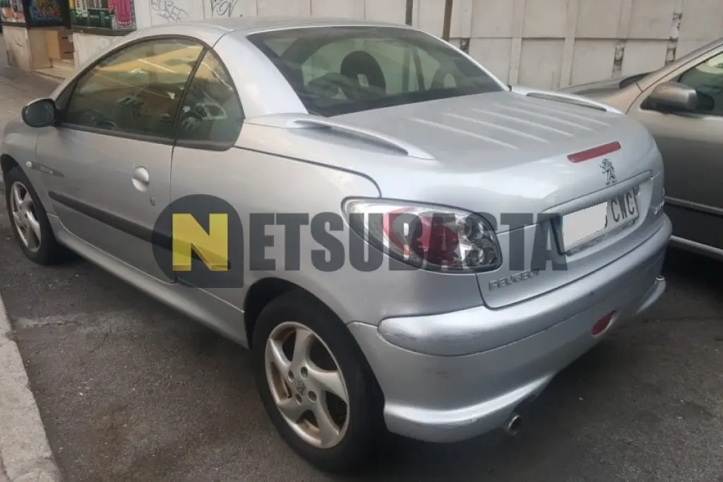 Peugeot 206 206 1.6 Quiksilver 7