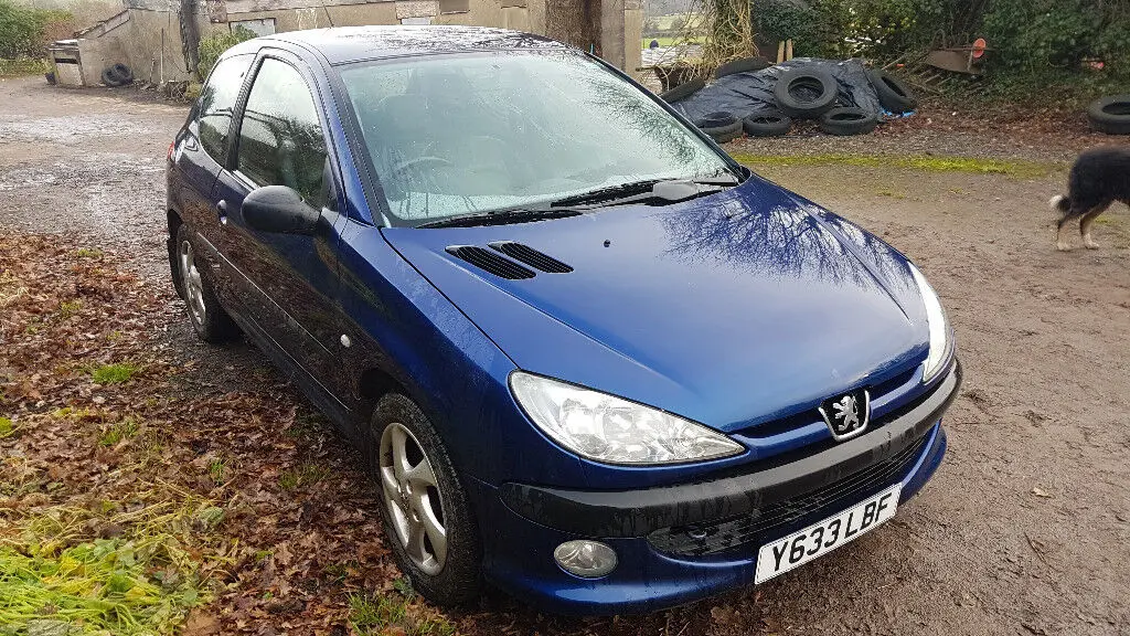 Peugeot 206 206 1.6 XSI 6