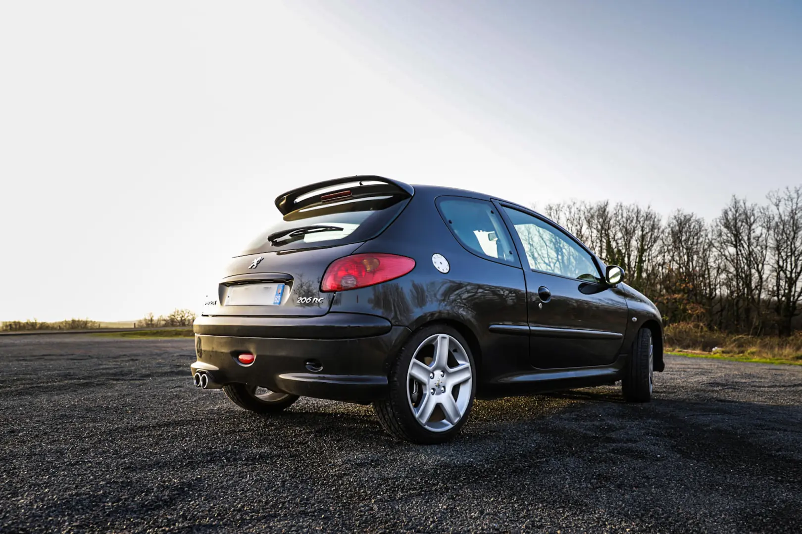 Peugeot 206 206 2.0 RC 6