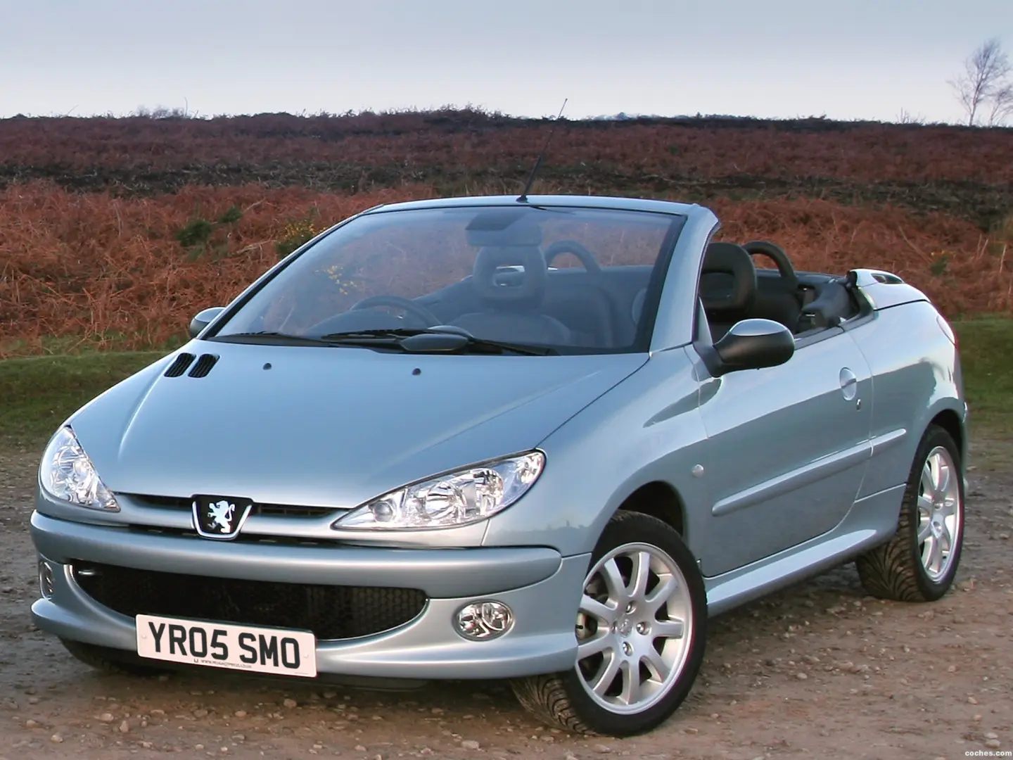 Peugeot 206 206 CC 2.0 6