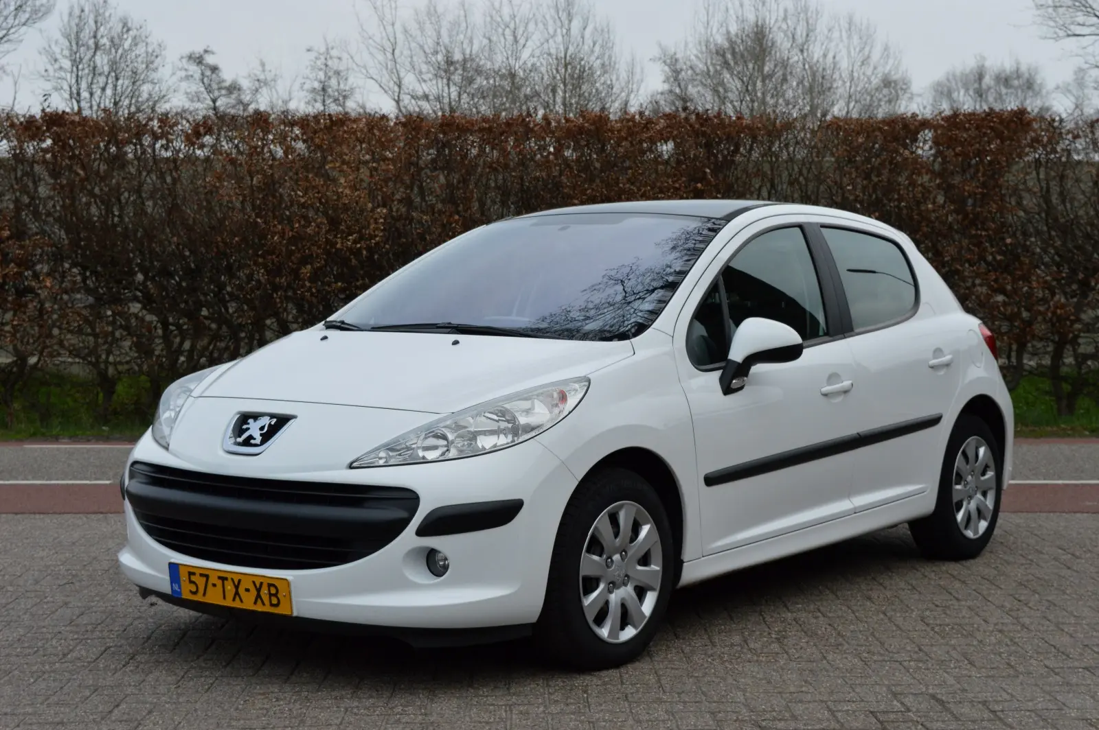 Peugeot 207 207 1.4 16V Envy 4