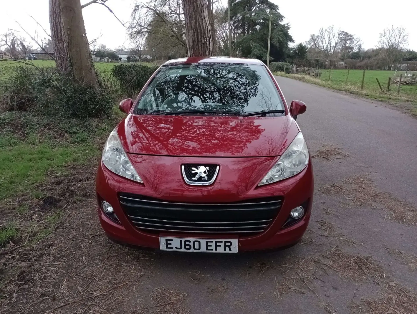 Peugeot 207 207 1.4 Millesim 6