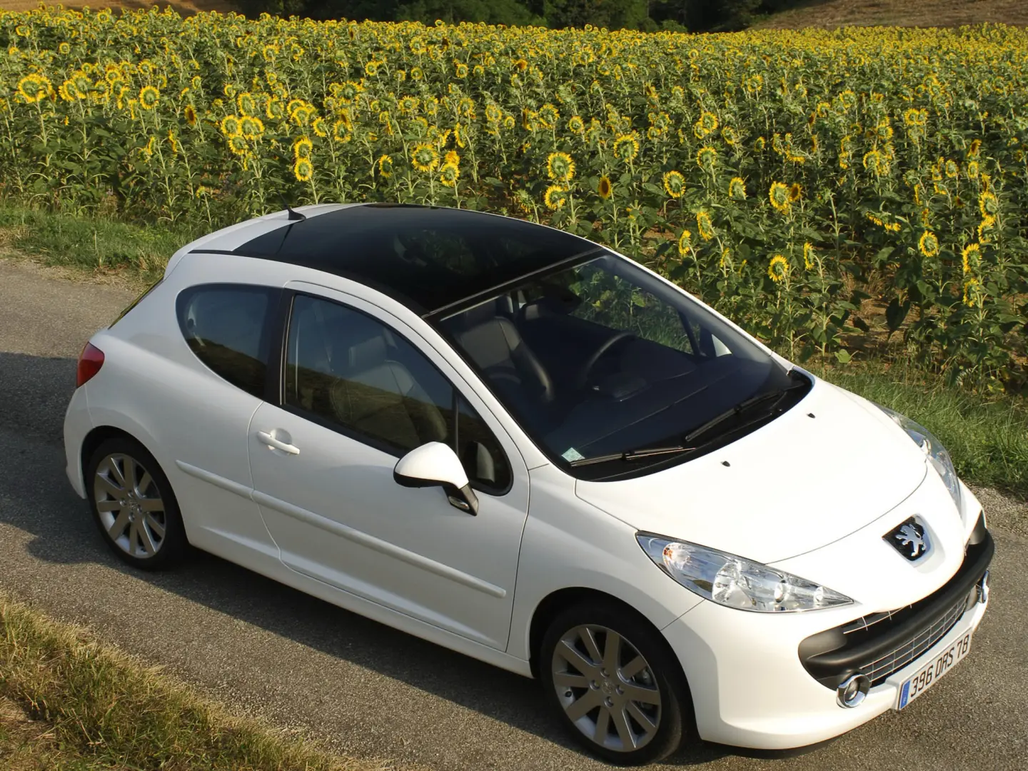 Peugeot 207 207 1.6 Dynamic 5