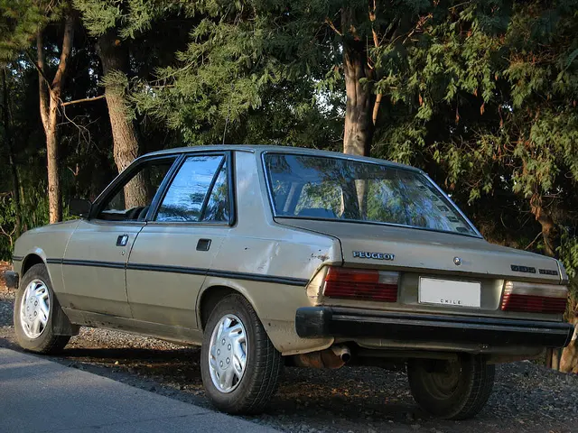 Peugeot 305 305 1.6 SR 6