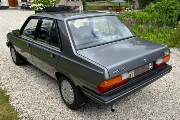 Peugeot 305 305 1.9 D GR 6