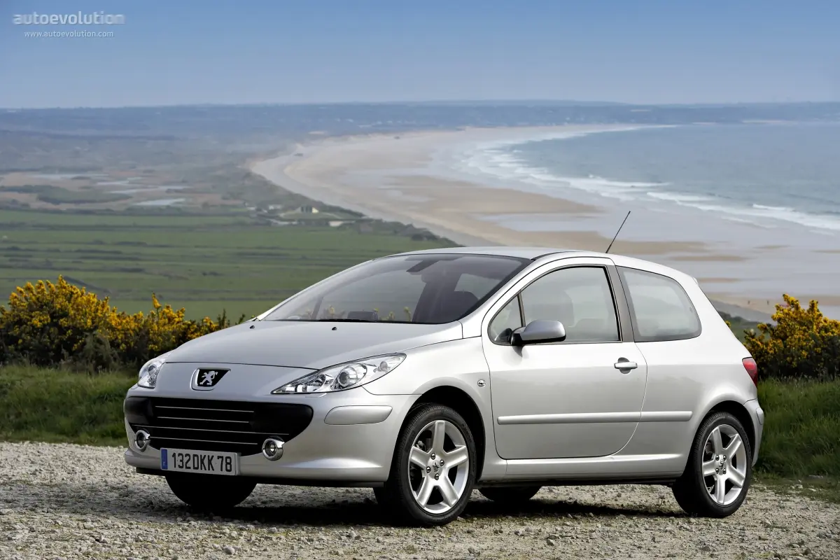 Peugeot 307 307 1.6 Comfort 4