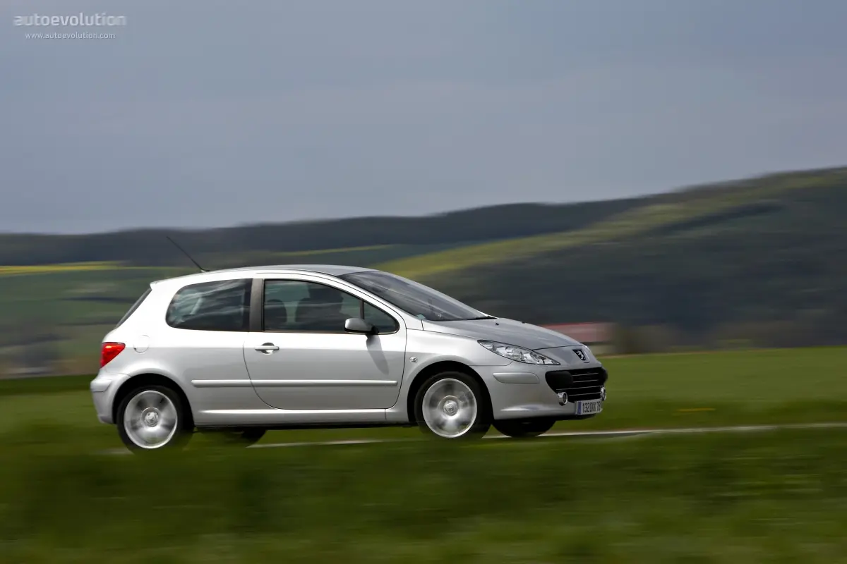 Peugeot 307 307 1.6 Comfort 5