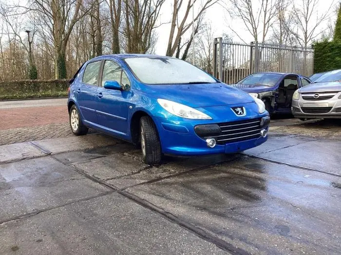 Peugeot 307 307 1.4 Designtech 6