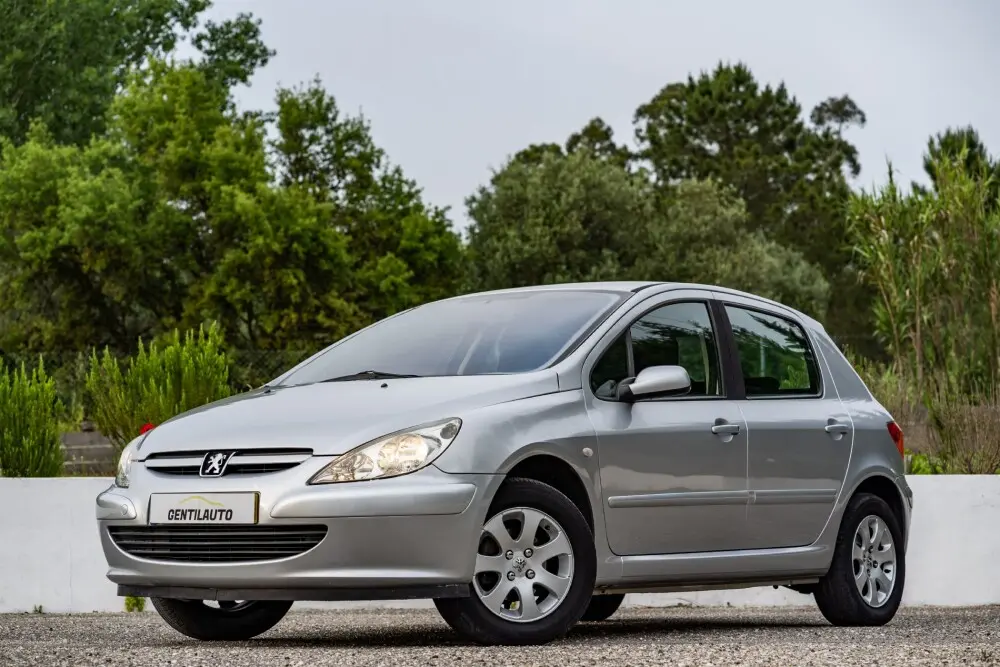 Peugeot 307 307 1.4 HDI Envy 2