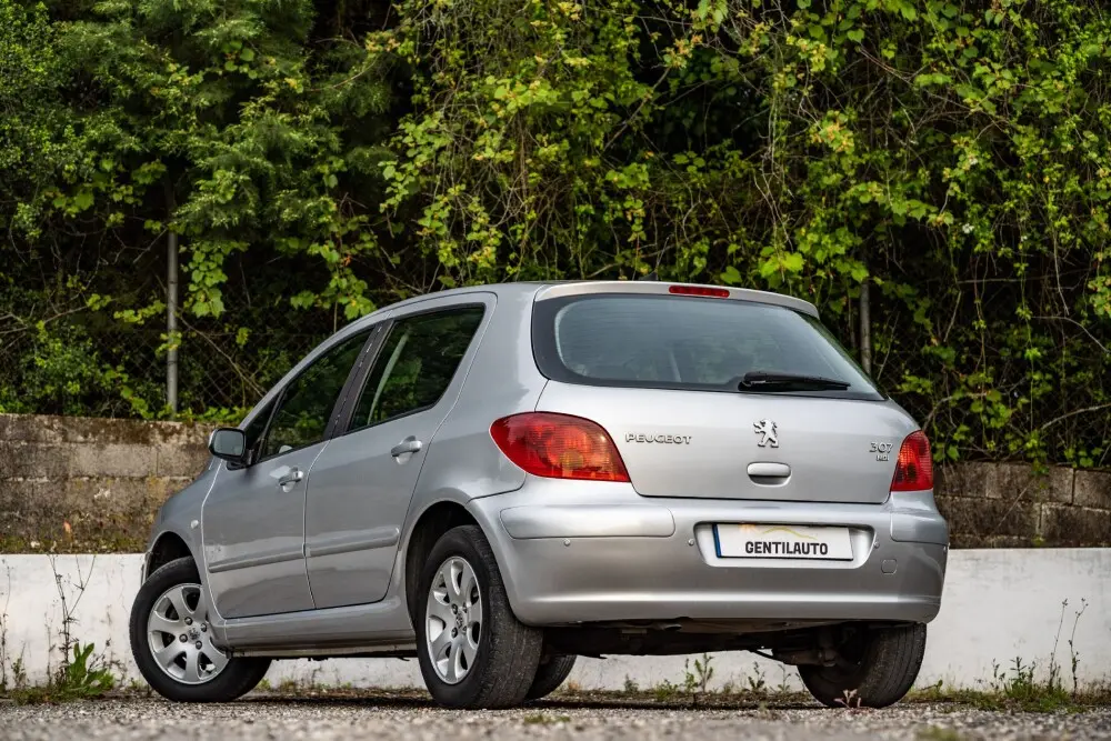 Peugeot 307 307 1.4 HDI Envy 3