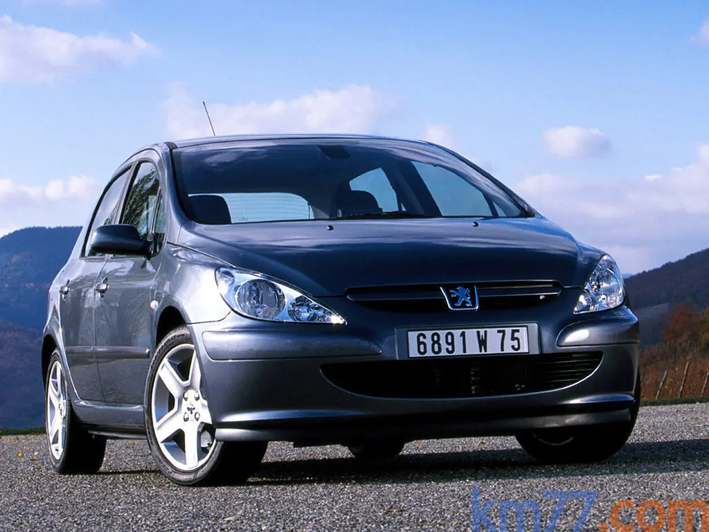 Peugeot 307 307 1.4 HDI XR 4