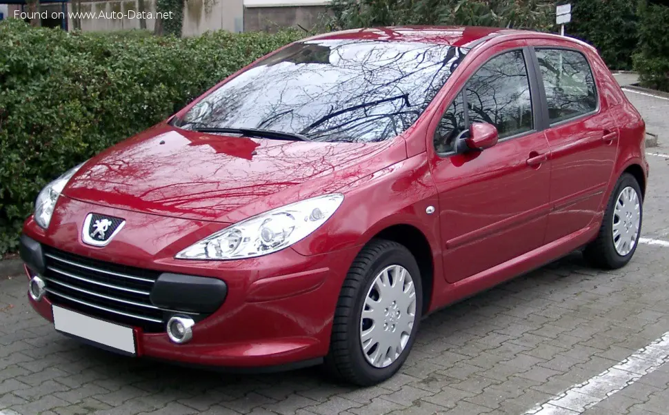 Peugeot 307 307 1.6 Look 6