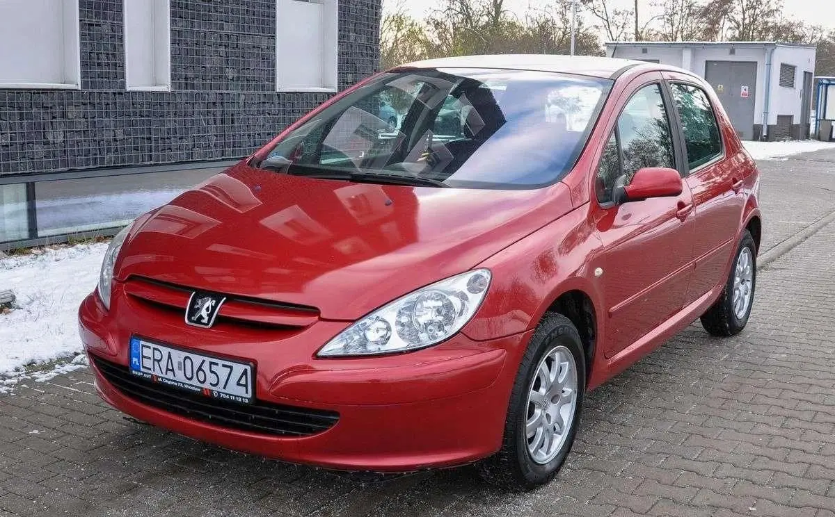 Peugeot 307 307 1.4 Look 7