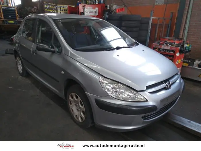 Peugeot 307 307 1.4 Profil 2
