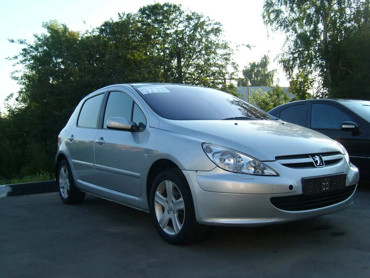 Peugeot 307 307 1.4 Profil 3