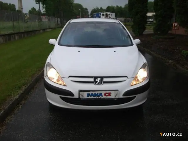 Peugeot 307 307 1.4 Profil 4