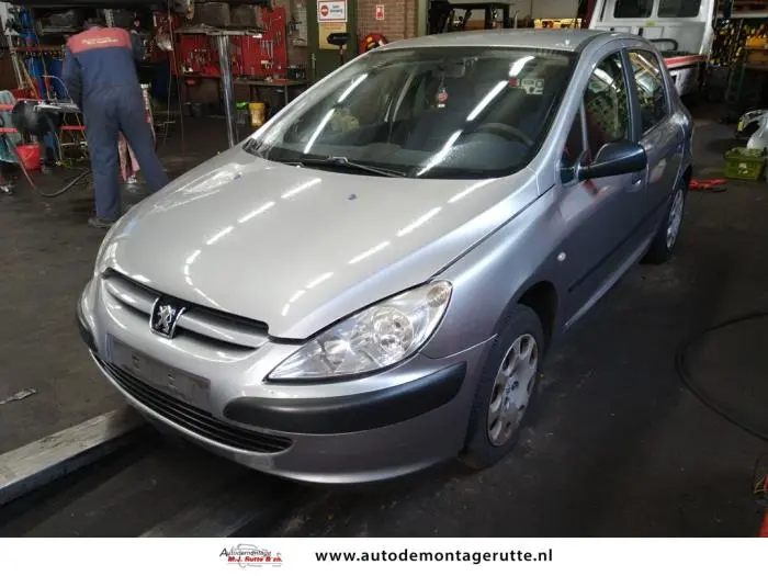 Peugeot 307 307 1.4 Profil 5