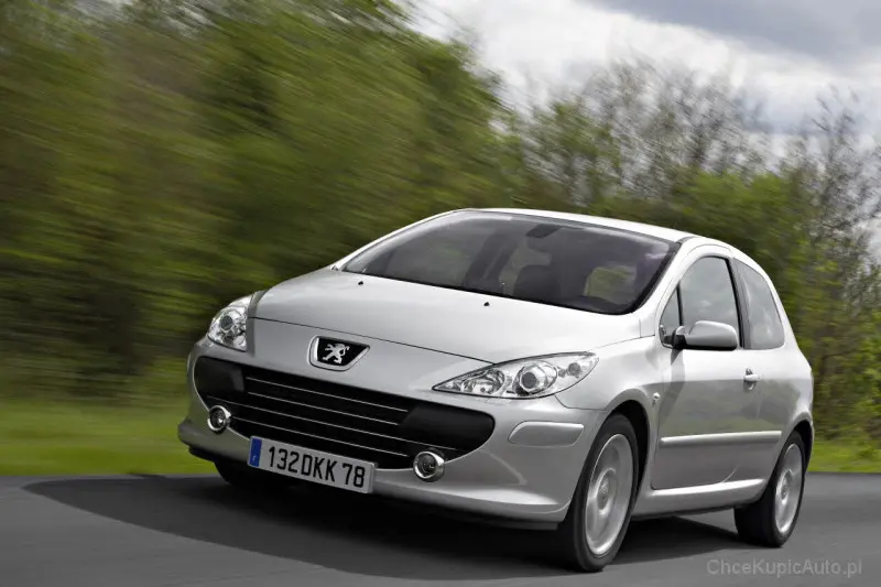 Peugeot 307 307 1.4 Profil 7