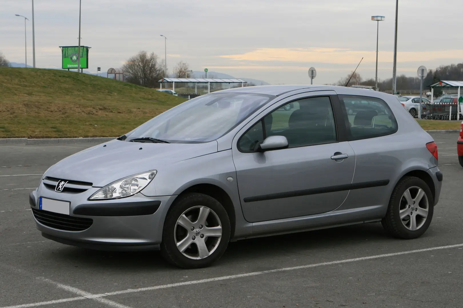 Peugeot 307 307 1.4 Profil 6